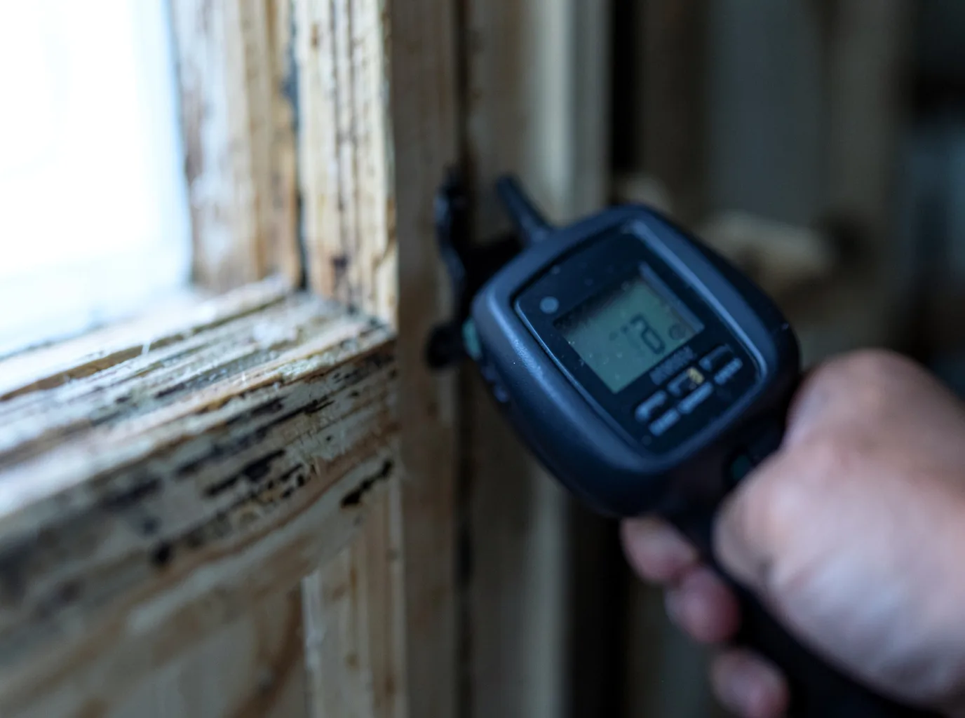 Commercial Water Damage Restoration in Hayfork, CA